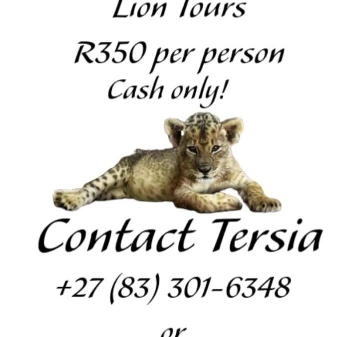 Local Attraction: Khora Lion Farm – Lion Tours